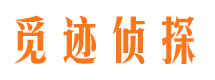 西昌市调查公司